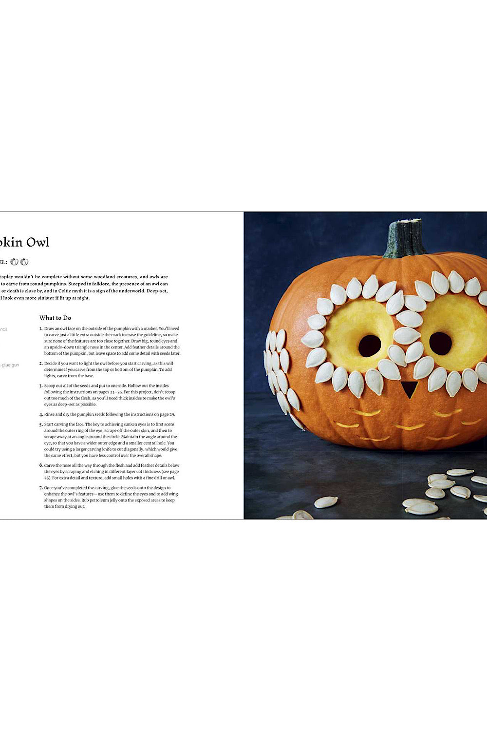 PUMPKIN CRAFTING BOOK